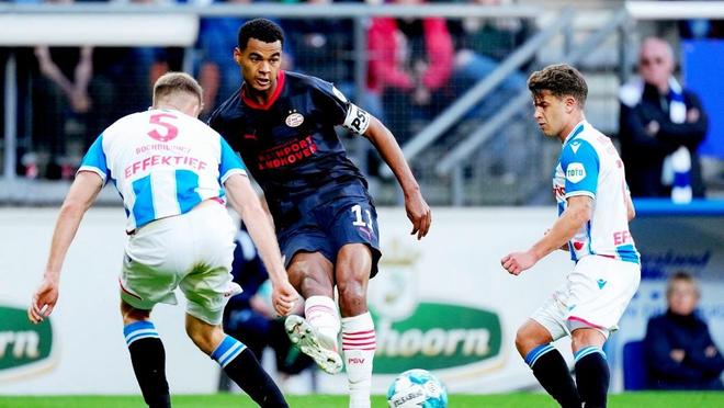 这一点无需 这一点无需