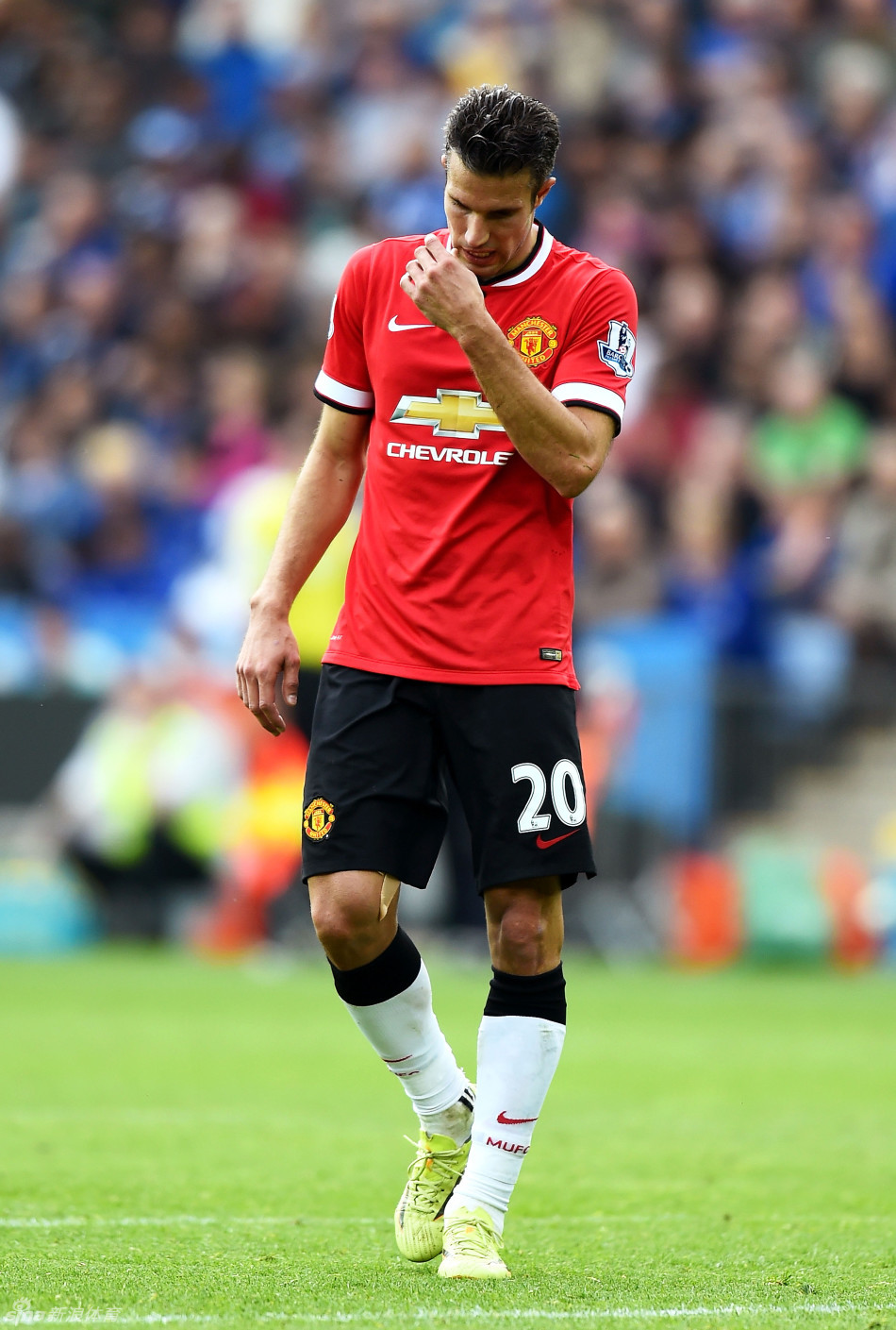 界赛入围赛 界赛入围赛